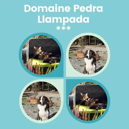 Domaine Pedra Llampada Montagne * Villelongue-dels-Monts