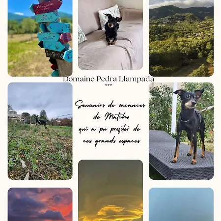 Apartament Domaine Pedra Llampada Montagne Villelongue-dels-Monts