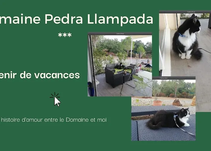 Domaine Pedra Llampada Montagne