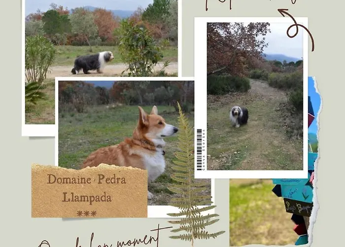 Domaine Pedra Llampada Montagne * Villelongue-dels-Monts